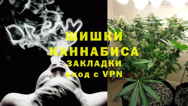 ГАЛЛЮЦИНОГЕННЫЕ ГРИБЫ Баксан